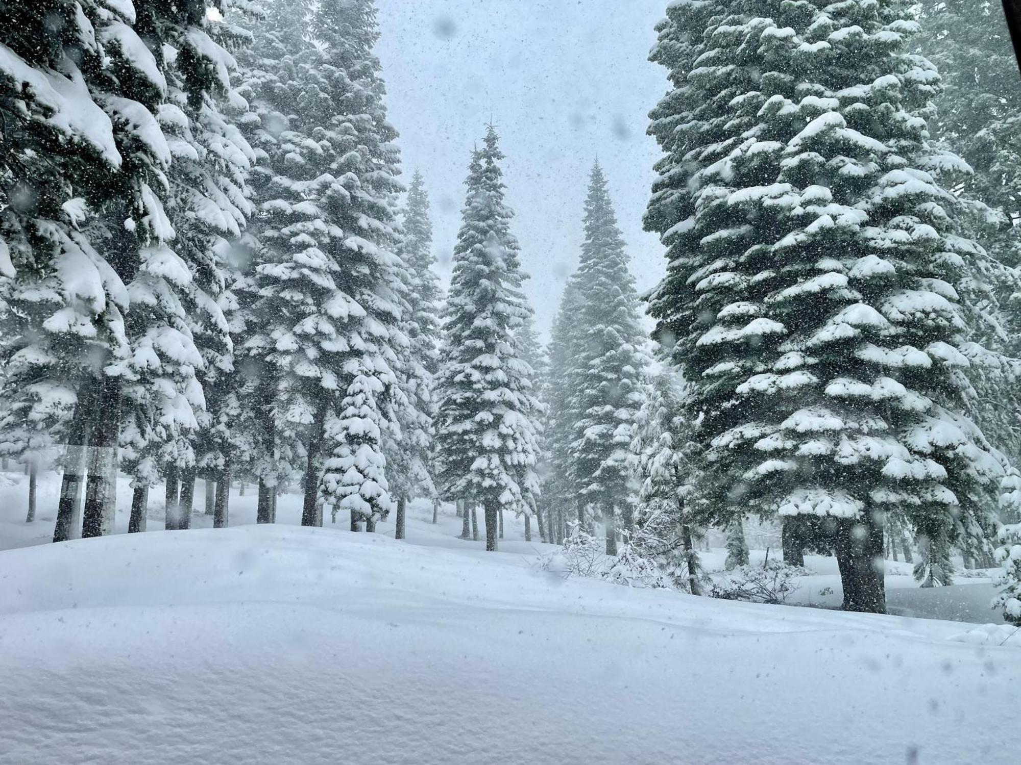 Bear Meadows Lodge - Hot Tub - Tahoe Donner Home トラッキー エクステリア 写真