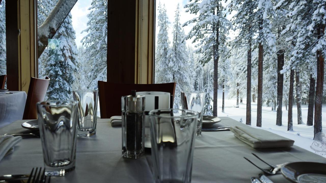 Bear Meadows Lodge - Hot Tub - Tahoe Donner Home トラッキー エクステリア 写真